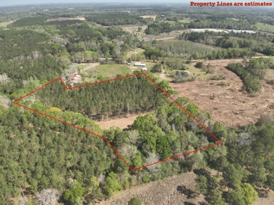 7 Acre Homesite in Geneva County Alabama - image 2