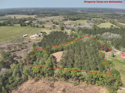 7 Acre Homesite in Geneva County Alabama - image 1