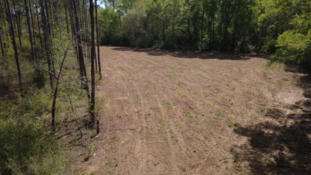 7 Acre Homesite in Geneva County Alabama - image 5