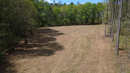 7 Acre Homesite in Geneva County Alabama - image 7