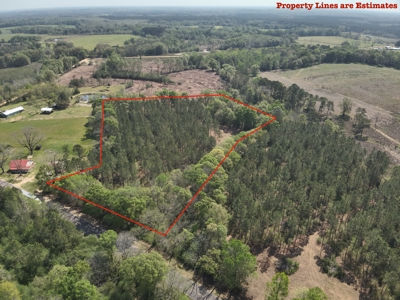 7 Acre Homesite in Geneva County Alabama - image 3