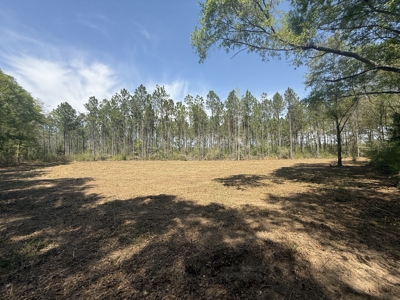 7 Acre Homesite in Geneva County Alabama - image 12
