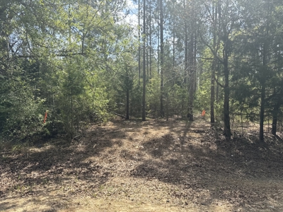 7 Acre Homesite in Geneva County Alabama - image 17