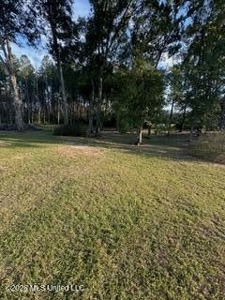Amite County MS Turnkey 45 Acres - image 20