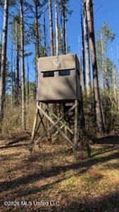 Amite County MS Turnkey 45 Acres - image 22