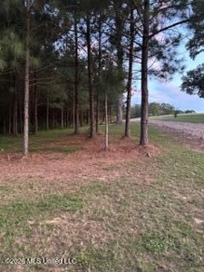 Amite County MS Turnkey 45 Acres - image 21