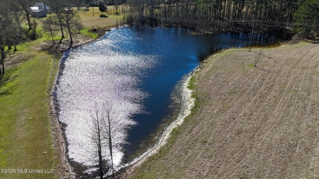 Amite County MS Turnkey 45 Acres - image 3