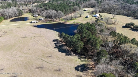 Amite County MS Turnkey 45 Acres - image 2