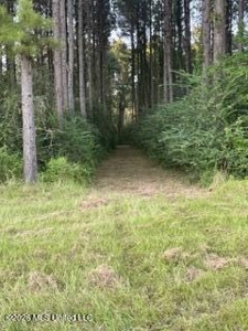 Amite County MS Turnkey 45 Acres - image 23