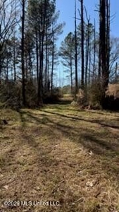 Amite County MS Turnkey 45 Acres - image 26