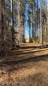 Amite County MS Turnkey 45 Acres - image 25