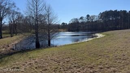 Amite County MS Turnkey 45 Acres - image 17