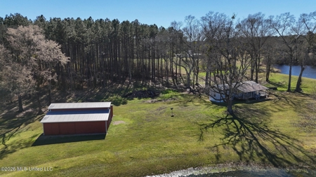 Amite County MS Turnkey 45 Acres - image 4