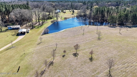 Amite County MS Turnkey 45 Acres - image 1