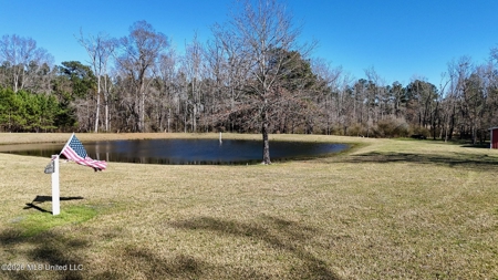 Amite County MS Turnkey 45 Acres - image 14
