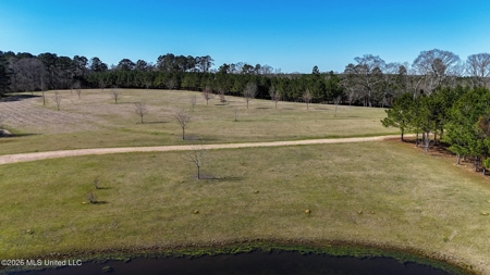 Amite County MS Turnkey 45 Acres - image 6