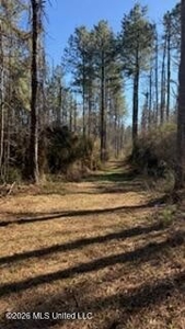 Amite County MS Turnkey 45 Acres - image 24