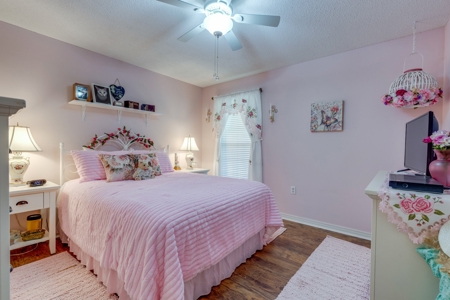 Country Home for Sale in Lawrence County, Tennessee - image 18