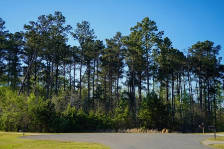 Ruston LA Large Residential Lot - Choudrant School District - image 12
