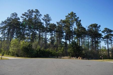 Ruston LA Large Residential Lot - Choudrant School District - image 8