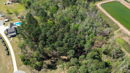 Ruston LA Large Residential Lot - Choudrant School District - image 4