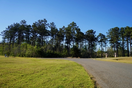 Ruston LA Large Residential Lot - Choudrant School District - image 13