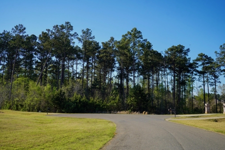 Ruston LA Large Residential Lot - Choudrant School District - image 11