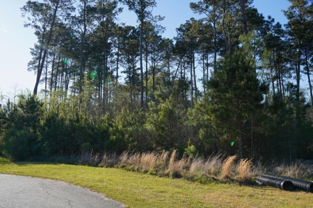Ruston LA Large Residential Lot - Choudrant School District - image 10