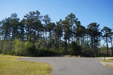 Ruston LA Large Residential Lot - Choudrant School District - image 7