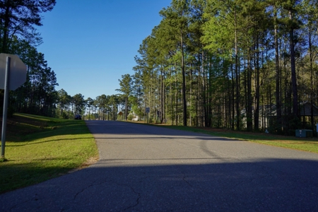 Ruston LA Large Residential Lot - Choudrant School District - image 16