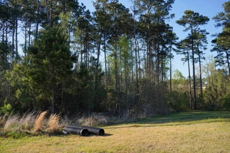 Ruston LA Large Residential Lot - Choudrant School District - image 9