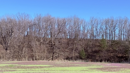 Six Acres in New Hampton, Missouri - image 6