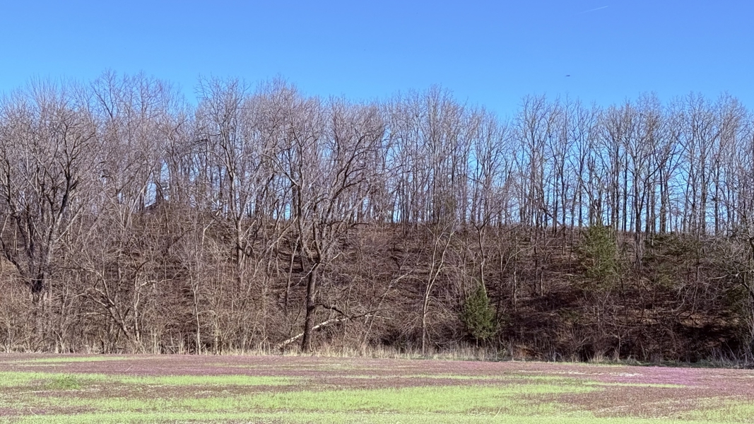 No Caption