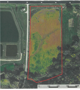 Six Acres in New Hampton, Missouri - image 1