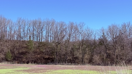 Six Acres in New Hampton, Missouri - image 7