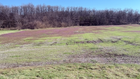 Six Acres in New Hampton, Missouri - image 3