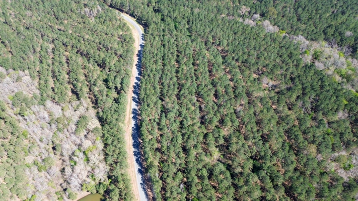Northeast Lincoln Parish Timberland for Sale