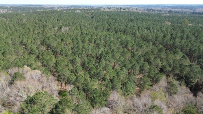 Listing 72
