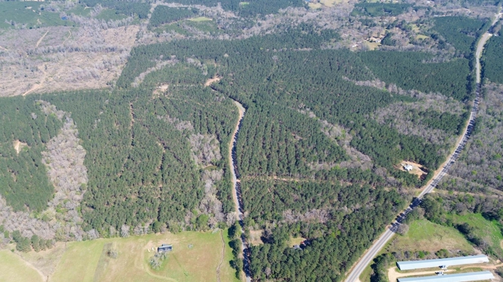 Northeast Lincoln Parish Timberland for Sale
