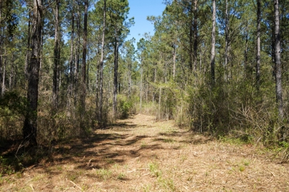 Listing 72