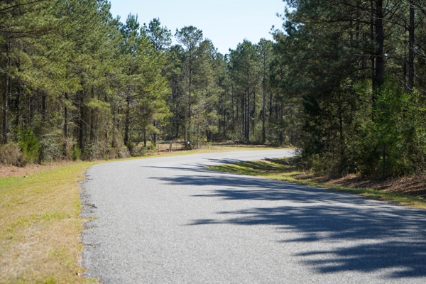 Northeast Lincoln Parish Timberland for Sale