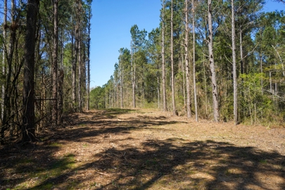 Listing 72