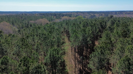 Northeast Lincoln Parish Timberland for Sale - image 34