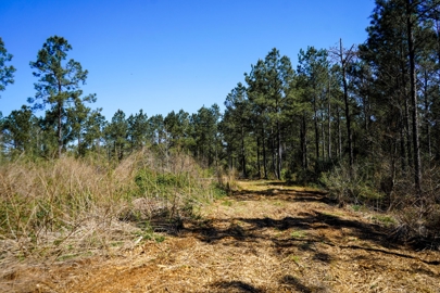 Listing 72