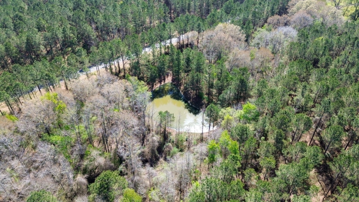 Northeast Lincoln Parish Timberland for Sale
