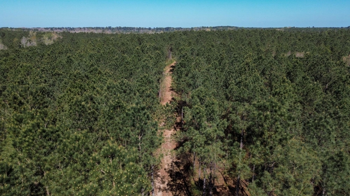 Northeast Lincoln Parish Timberland for Sale