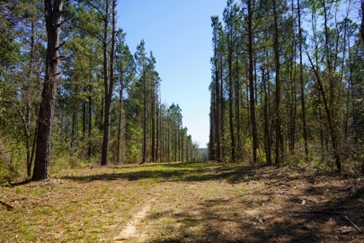 Listing 72
