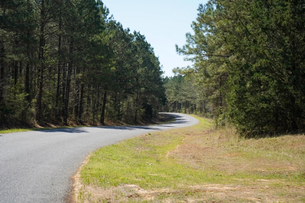 Northeast Lincoln Parish Timberland for Sale