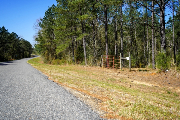 Northeast Lincoln Parish Timberland for Sale