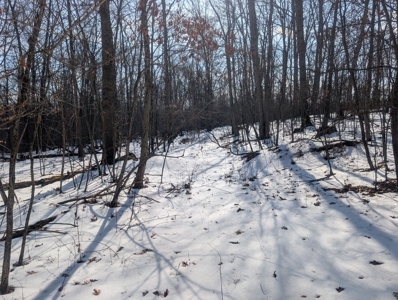 Washington County Large Acreage Hunting and Timber - image 2